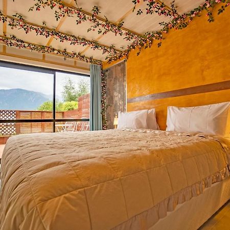 カイコウラ Waikoura Springs Bed & Breakfast エクステリア 写真