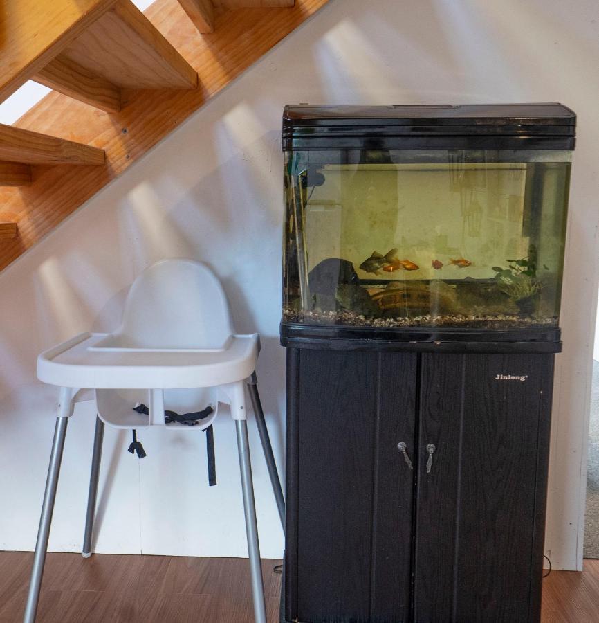 カイコウラ Waikoura Springs Bed & Breakfast エクステリア 写真