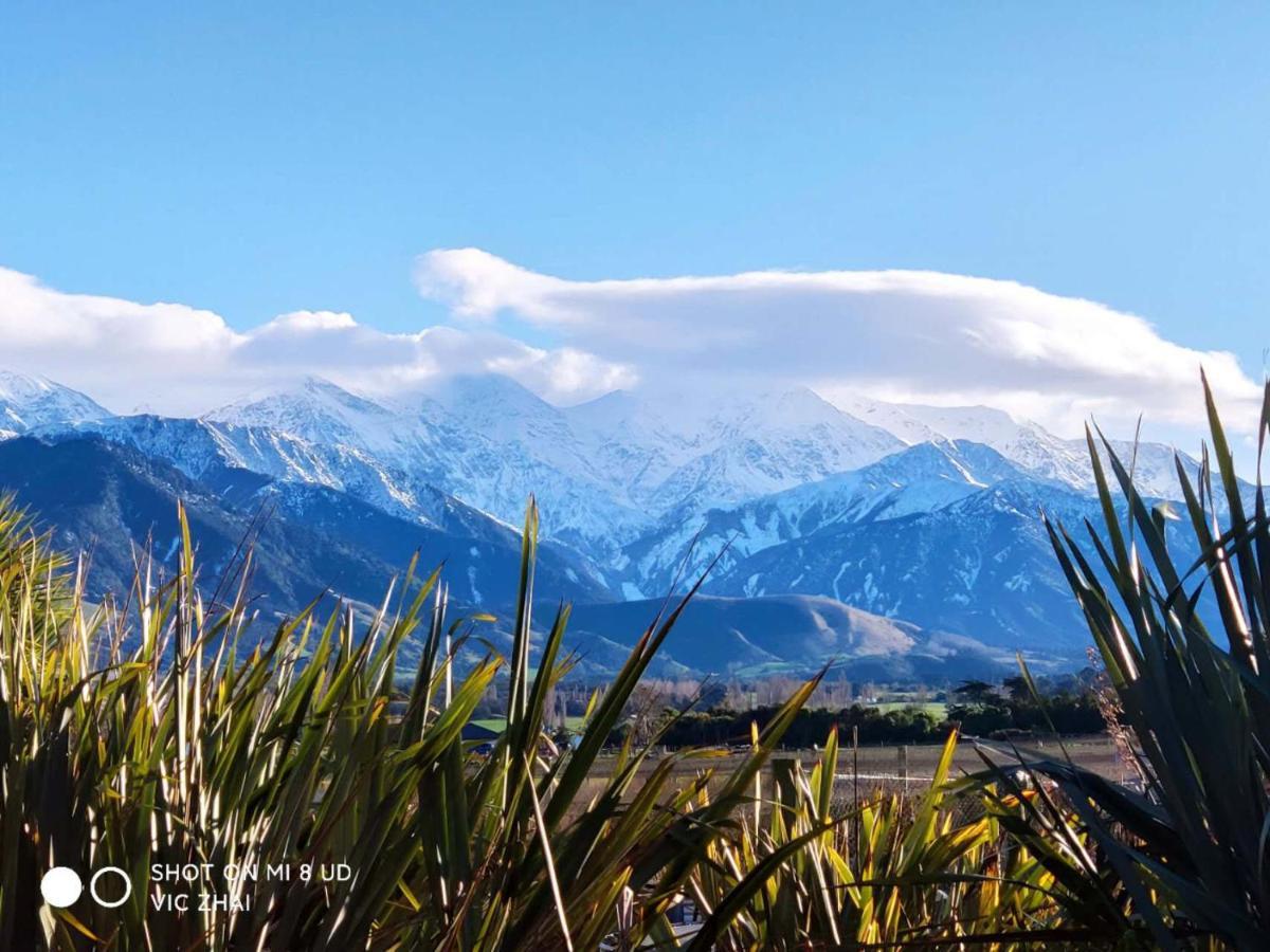 カイコウラ Waikoura Springs Bed & Breakfast エクステリア 写真